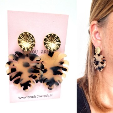 Cmphotogrid1699966647194